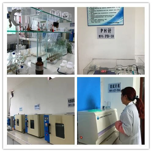 silica laboratory